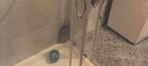 Studio in Busto Arsizio, Italy No. 185309 12