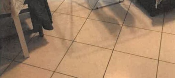 Studio in Busto Arsizio, Italy No. 185309 14