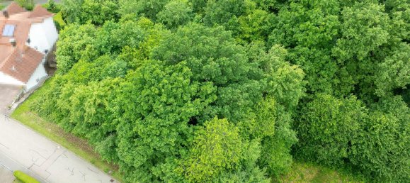 2 Schlafzimmer Grundstück in Neckar-Odenwald-Kreis, Germany, Nr. 289619 5