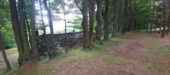 Studio in Fanano, Italy No. 290507 31