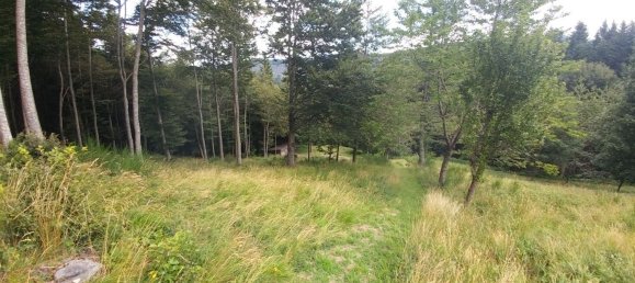 Studio in Fanano, Italy No. 290507 34