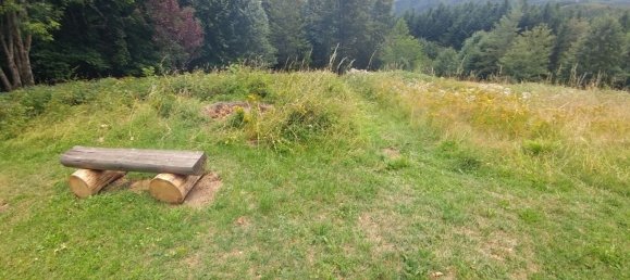 Studio in Fanano, Italy No. 290507 29