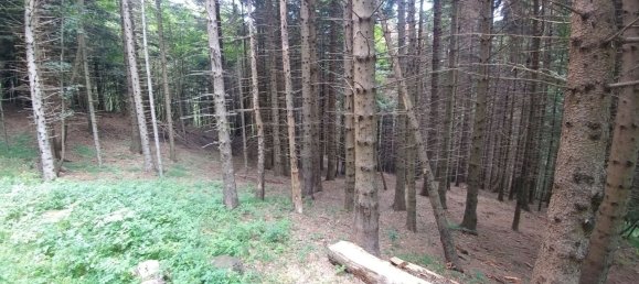 Studio in Fanano, Italy No. 290507 28