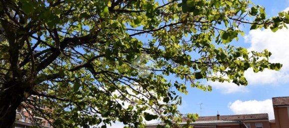 1 Schlafzimmer Wohnung in Rozzano, Italy, Nr. 324772 21