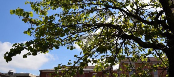 1 Schlafzimmer Wohnung in Rozzano, Italy, Nr. 324772 22