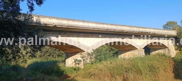  قطعة أرض في Llubi, Spain رقم 155362 10