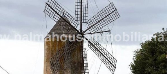  قطعة أرض في Llubi, Spain رقم 155362 14