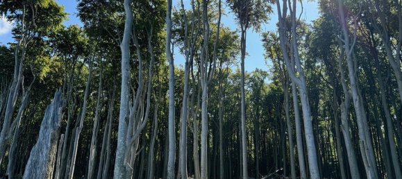 9غرفة فندق في Rostock, Germany رقم 218342 13