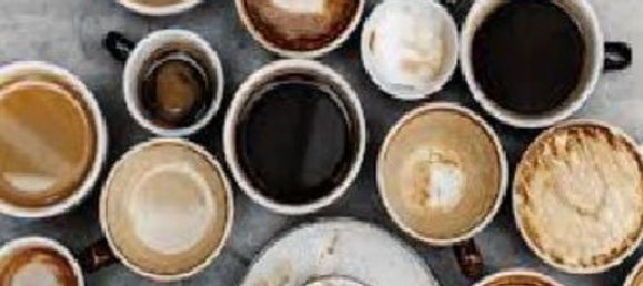 3 rooms Commercial property in Rome, Italy No. 149279 6