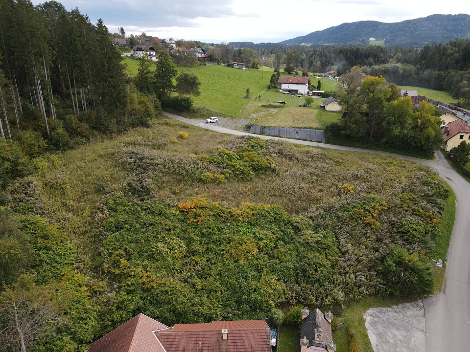 6125m² Land in Feldkirchen in Karnten, Austria No. 72798