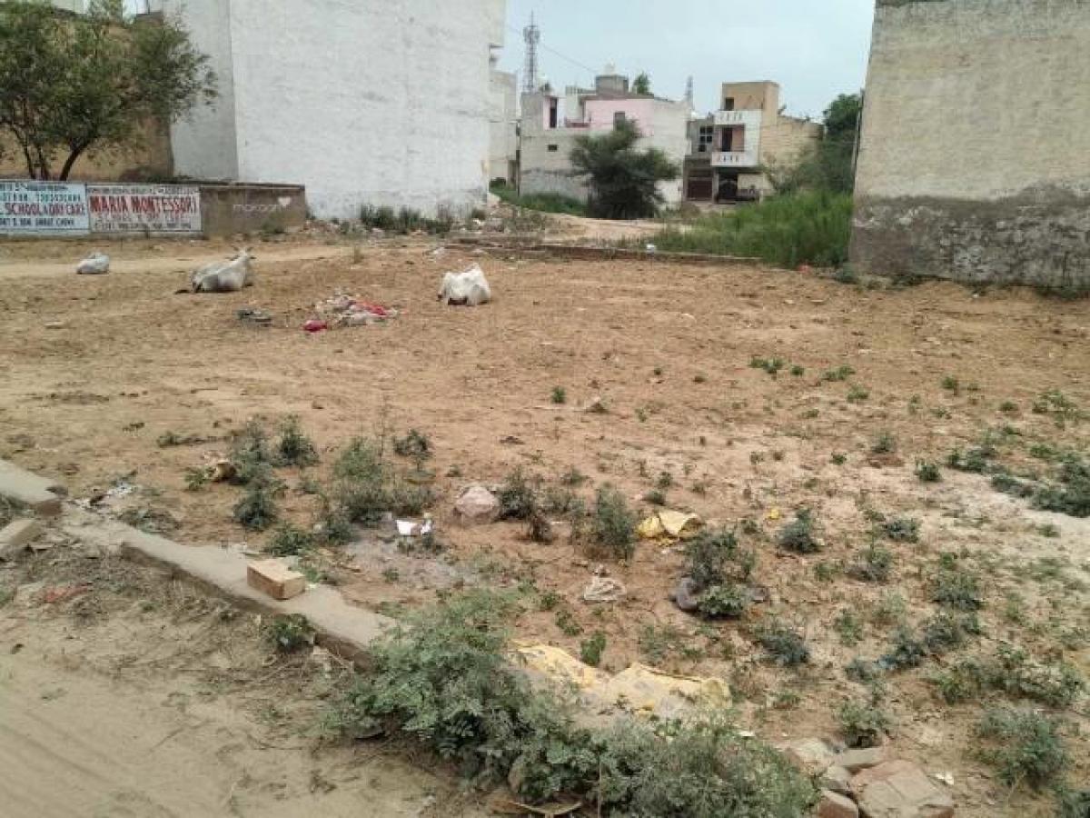 Terrain à Gurgaon, India No. 35534