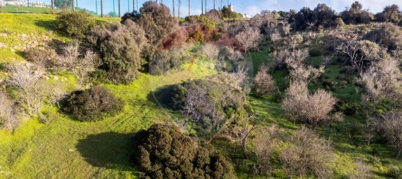 Дом с 9 спальнями в Лагуш, Португалия № 69151 7