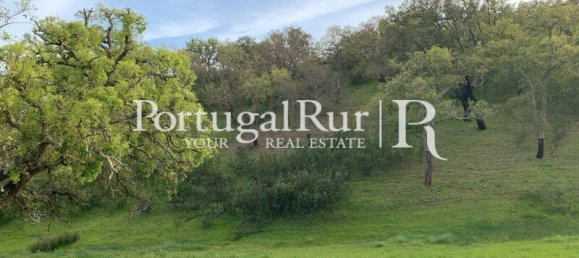 2 bedrooms House in Santiago do Cacem, Portugal No. 143038 20