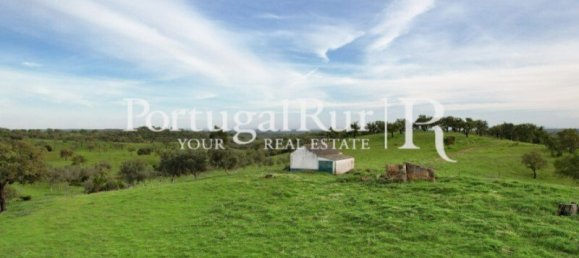 2 bedrooms House in Santiago do Cacem, Portugal No. 143038 5