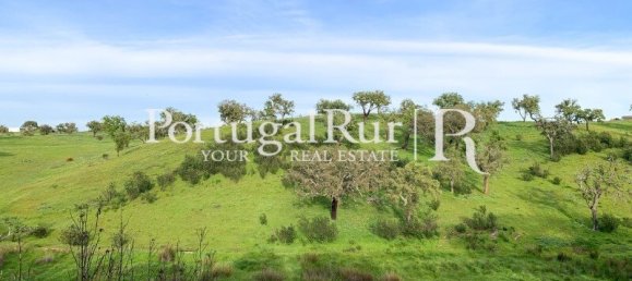 2 bedrooms House in Santiago do Cacem, Portugal No. 143038 22