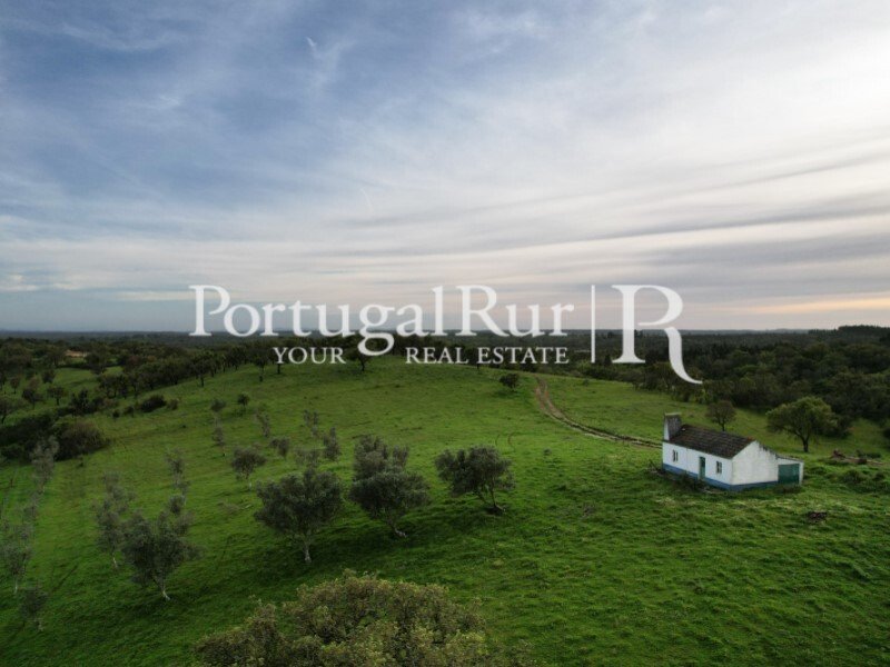 2 bedrooms House in Santiago do Cacem, Portugal No. 143038