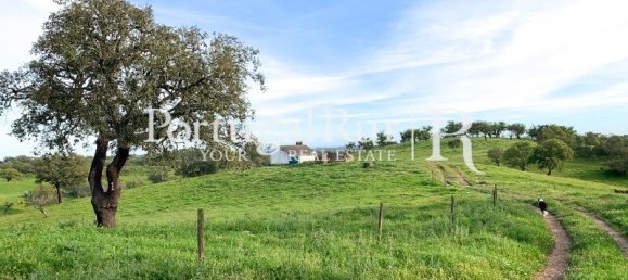 2 bedrooms House in Santiago do Cacem, Portugal No. 143038 14