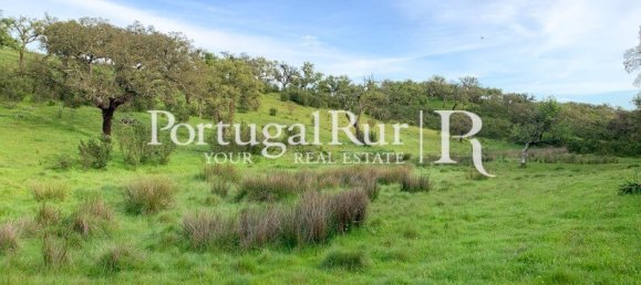 2 bedrooms House in Santiago do Cacem, Portugal No. 143038 21