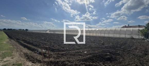 7 bedrooms Villa in Cesenatico, Italy No. 341424 12