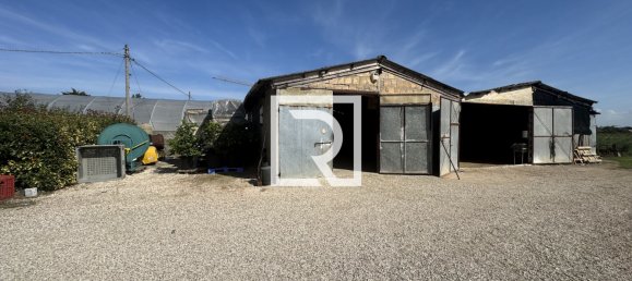 7 bedrooms Villa in Cesenatico, Italy No. 341424 10