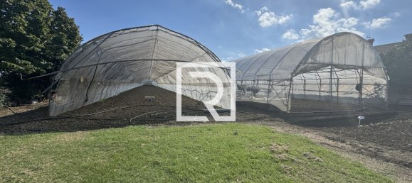 7 bedrooms Villa in Cesenatico, Italy No. 341424 23