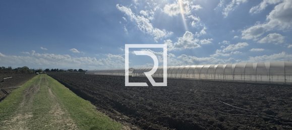 7 bedrooms Villa in Cesenatico, Italy No. 341424 15