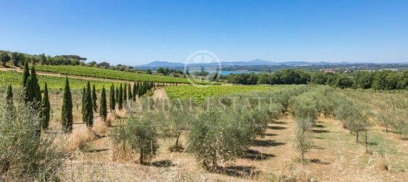 7 غرف نوم منزل في Tuoro sul Trasimeno, Italy رقم 54179 41