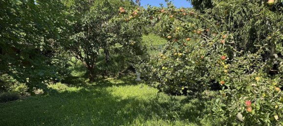 5-Zimmer Bungalow in Rheinland-Pfalz, Germany, Nr. 317575 15