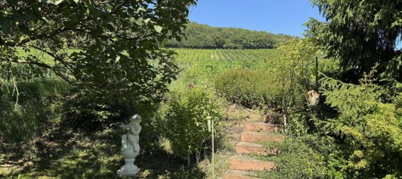 5-Zimmer Bungalow in Rheinland-Pfalz, Germany, Nr. 317575 17