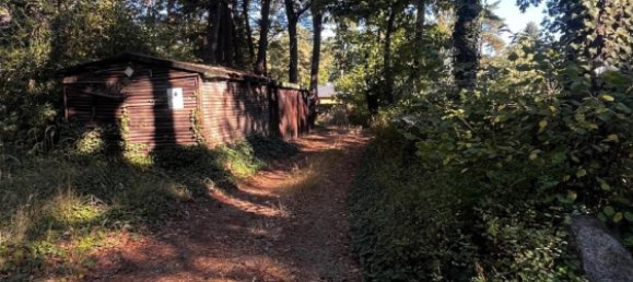 5 غرف نوم قطعة أرض في Gifhorn, Germany رقم 353518 9