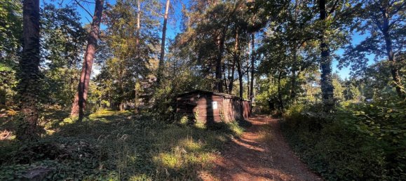 5 غرف نوم قطعة أرض في Gifhorn, Germany رقم 353518 8