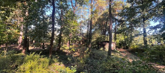 5 غرف نوم قطعة أرض في Gifhorn, Germany رقم 353518 7