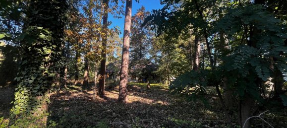 5 غرف نوم قطعة أرض في Gifhorn, Germany رقم 353518 3