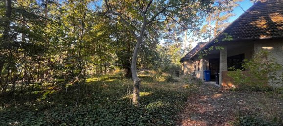 5 غرف نوم قطعة أرض في Gifhorn, Germany رقم 353518 5