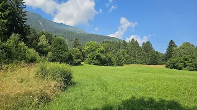 Земельный участок в Райсек, Австрия № 160654