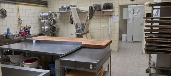 500m² Commercial property in Saarpfalz, Germany No. 248500 14