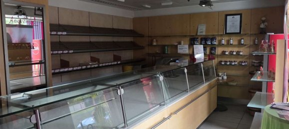 500m² Commercial property in Saarpfalz, Germany No. 248500 6