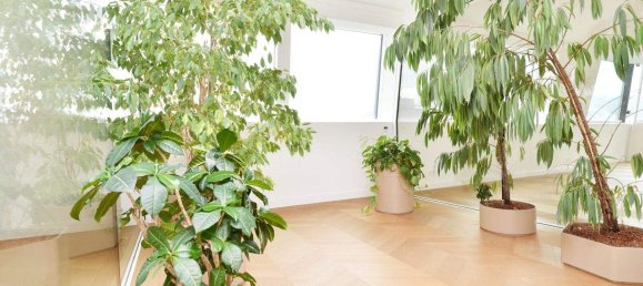 5 rooms Apartment in Vienna, Austria No. 227056 39