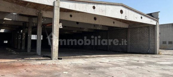 Entrepôt à San Benedetto Po, Italy 4700m² No. 341535 4