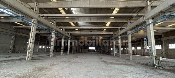 Entrepôt à San Benedetto Po, Italy 4700m² No. 341535 6