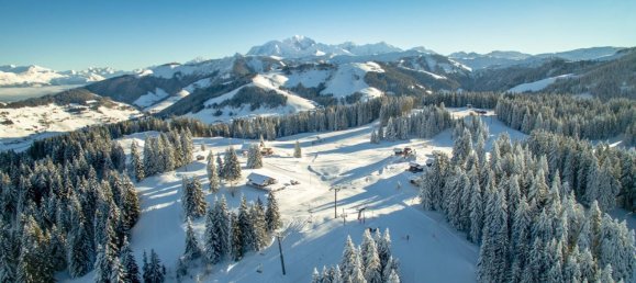 701m² Hotel in Crest-Voland, France No. 396856 4