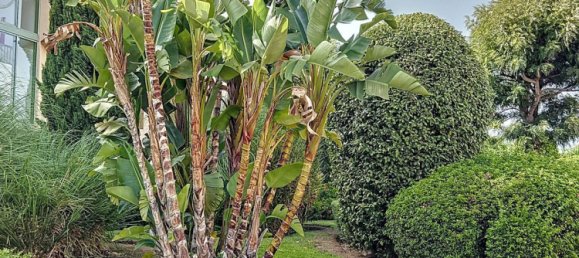 3 Schlafzimmer Penthouse in Malaga, Spain, Nr. 125098 40