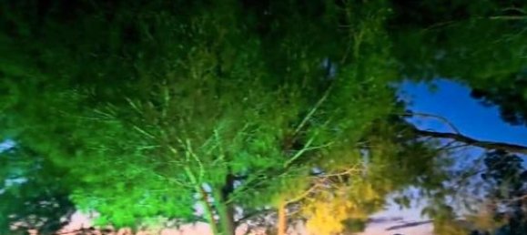 3 chambres Maison à Malaga, Spain No. 162015 7