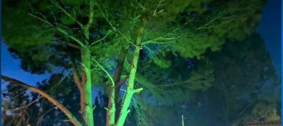 3 chambres Maison à Malaga, Spain No. 162015 8