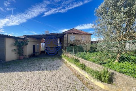 4 غرف نوم منزل في Gandra, Portugal رقم 202330