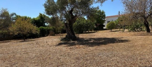 3 bedrooms Villa in Almancil, Portugal No. 344617 23