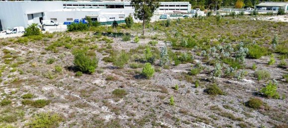 Gebäude in Cantanhede, Portugal 2637m², Nr. 78517 11