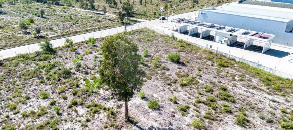 Gebäude in Cantanhede, Portugal 2637m², Nr. 78517 2