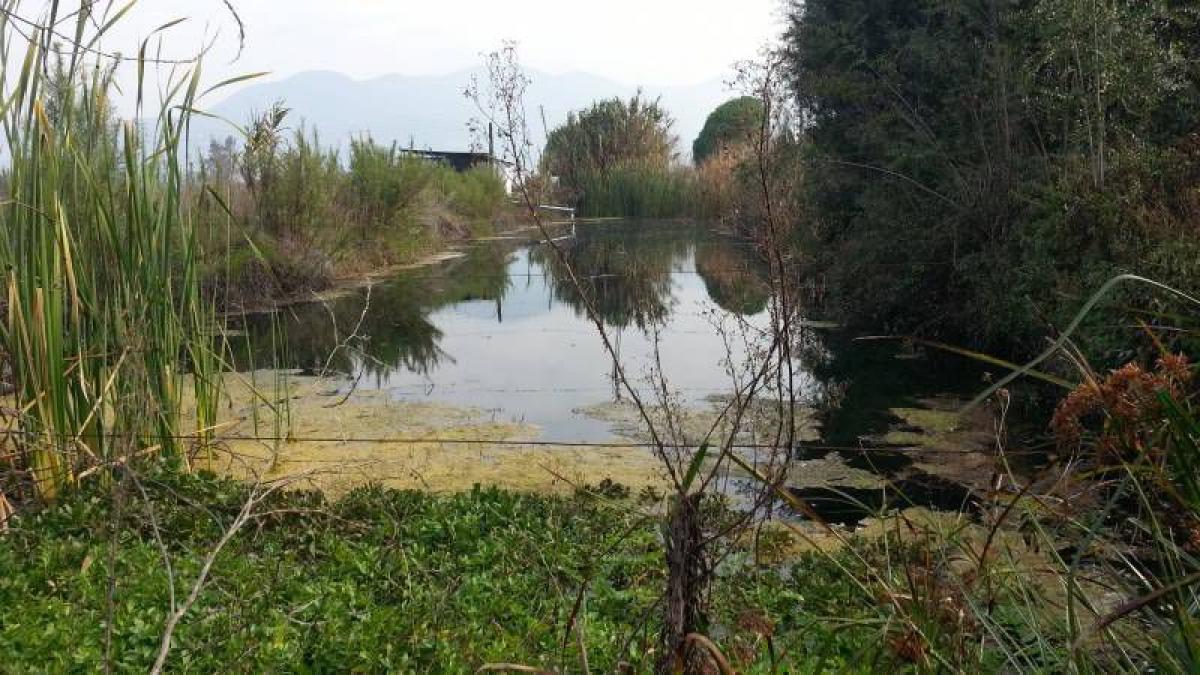 Grundstück in Valparaiso, Chile, Nr. 566