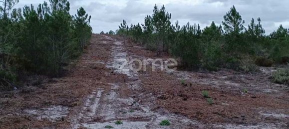 قطعة أرض في Grandola, Portugal 5000متر مربع رقم 44296 5